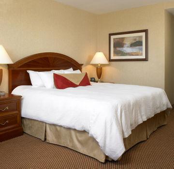 Hilton Garden Queens Jfk - Newly Renovated Hotel New York