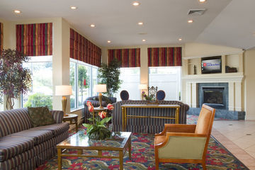 Hotel Hilton Garden Queens Jfk - Newly Renovated New York